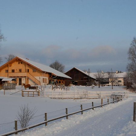 Отель Zweilindenhof Зеесхаупт Экстерьер фото