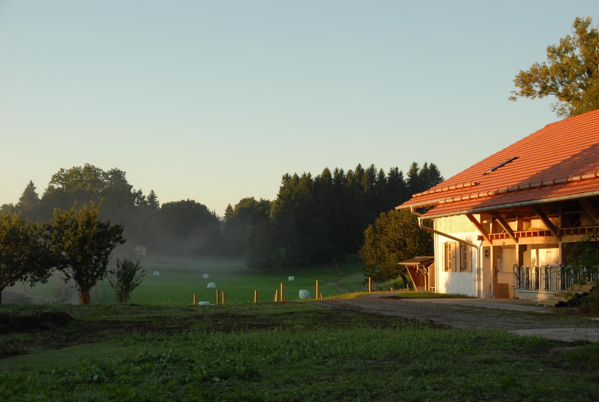 Отель Zweilindenhof Зеесхаупт Экстерьер фото
